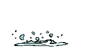 poisson.gif (6107 octets)